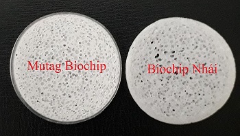 So Sánh giá thể vi sinh Mutag Biochip với giá thể Biochip nhái